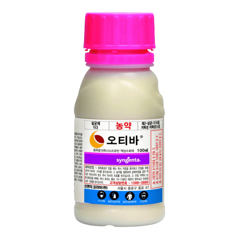 탑앤탑(오티바)