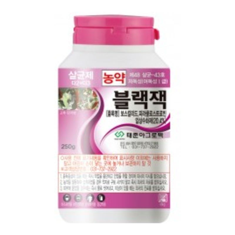 블랙잭(벨리스플러스)