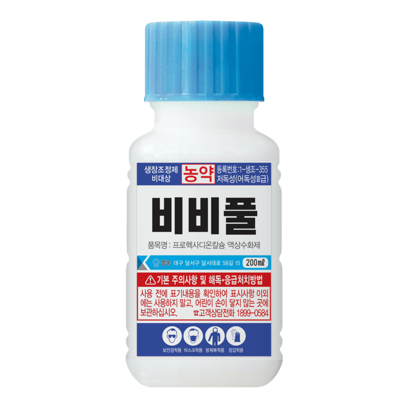비비풀