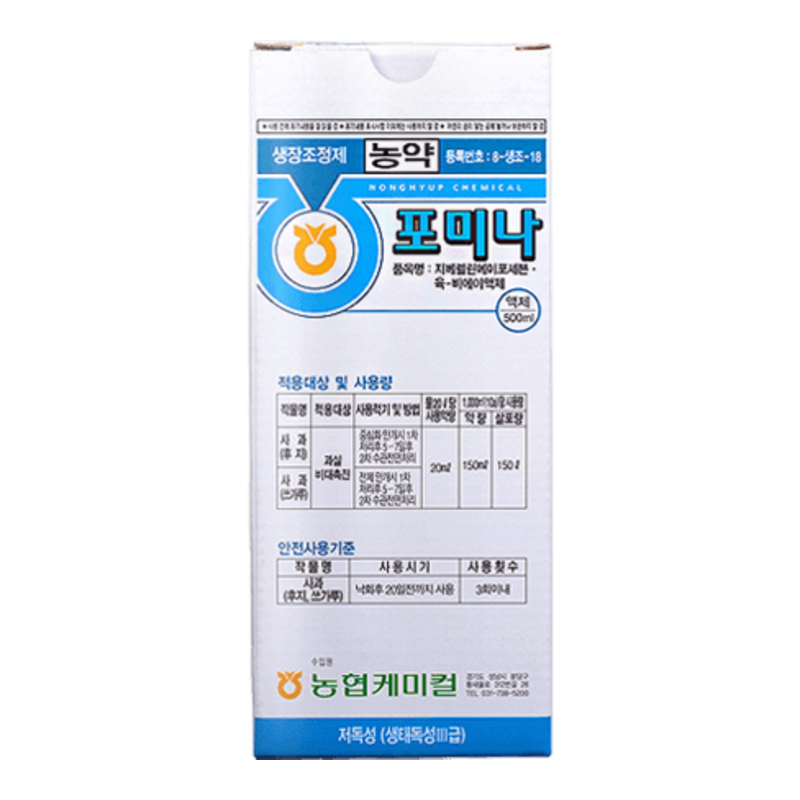 빅버(포미나)