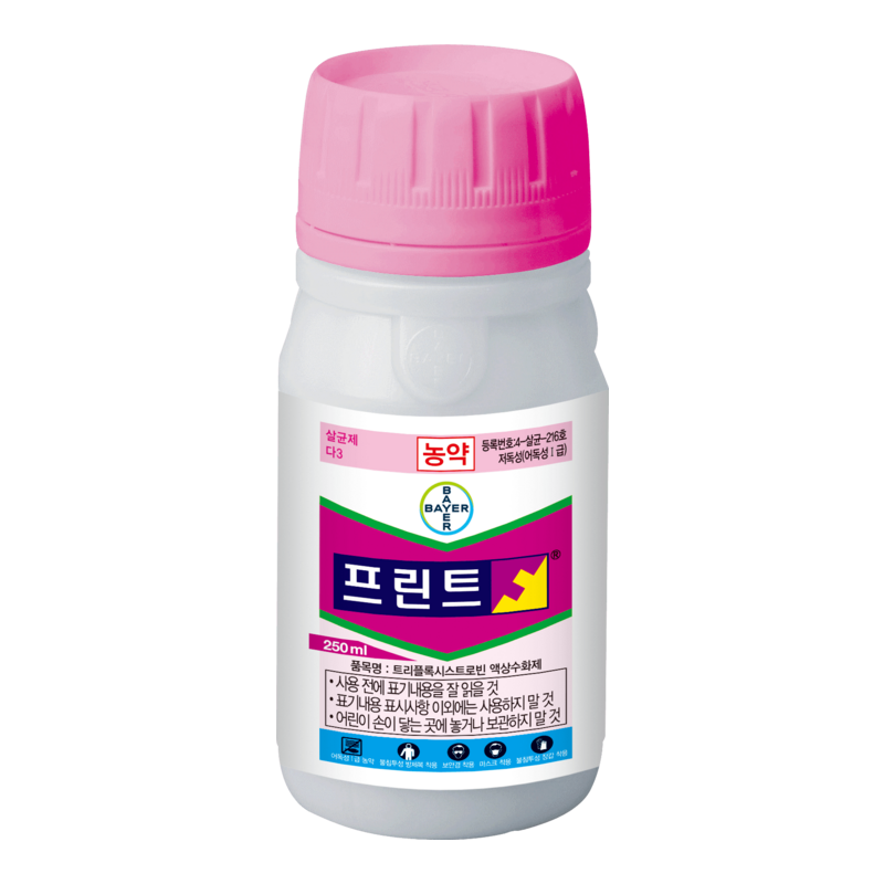 로열티(프린트)