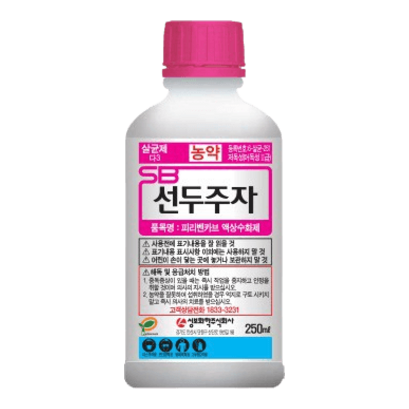 신두주자