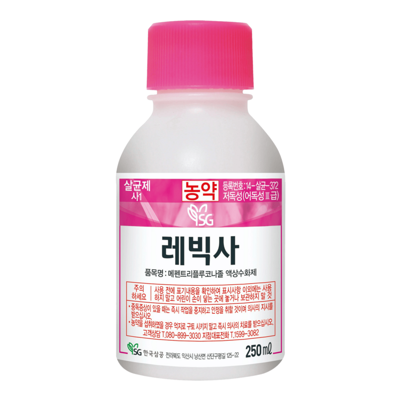 레빅사(렌비어)