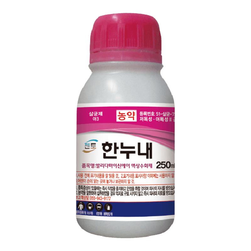 한누내