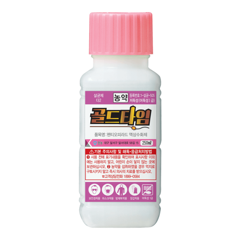골드타임