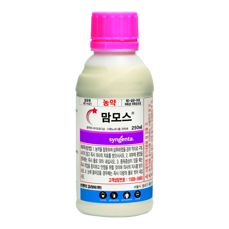 맘모스