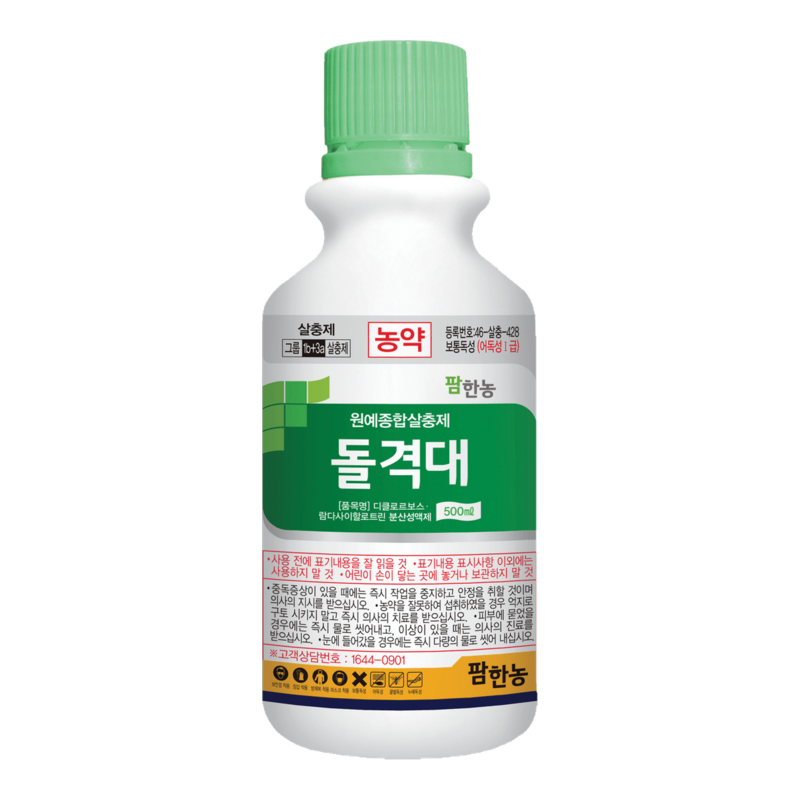 돌격대