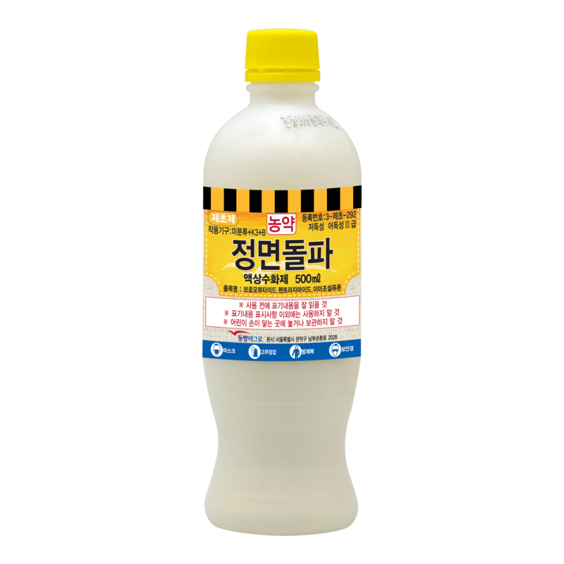 노내존(정면돌파)