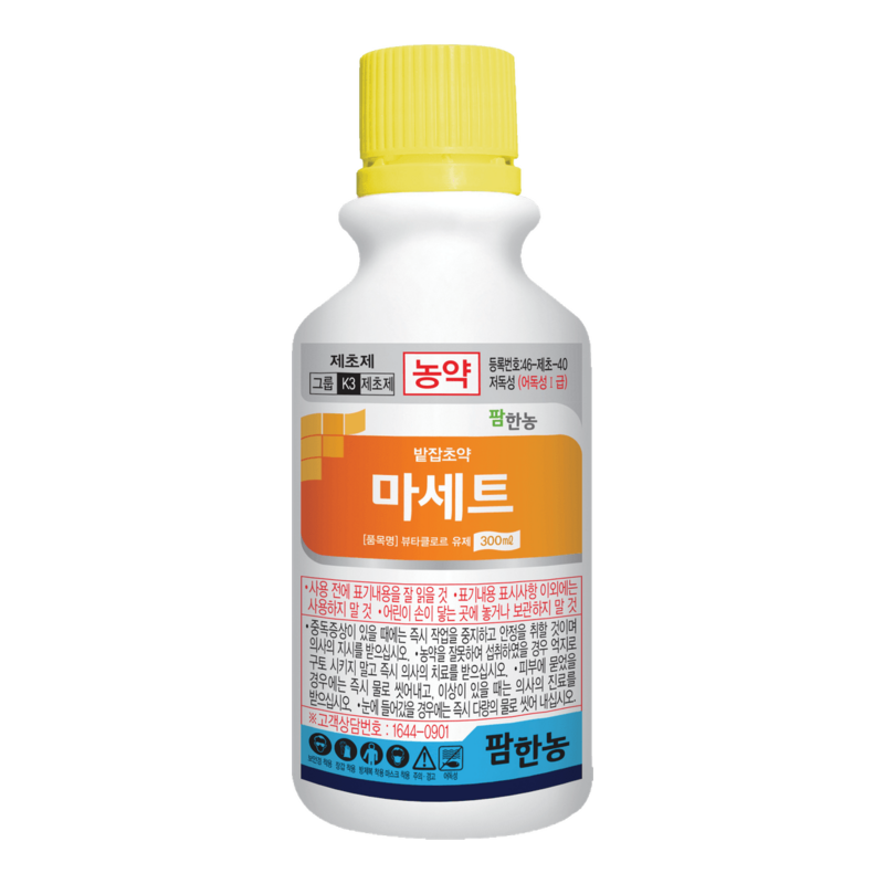 마세트(부타)