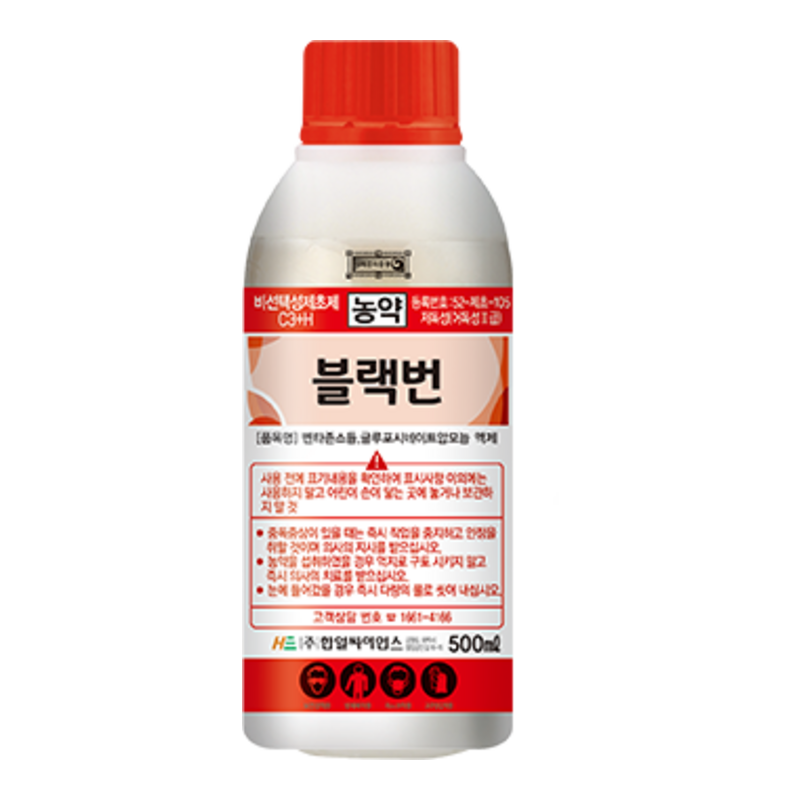블랙번