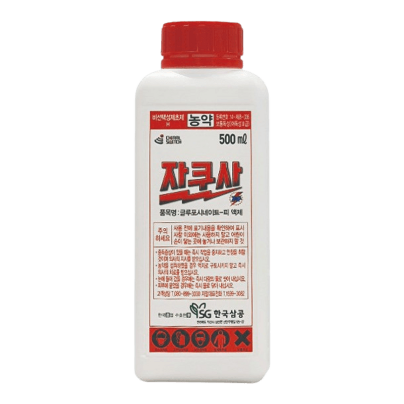 자루샤(바로바로)
