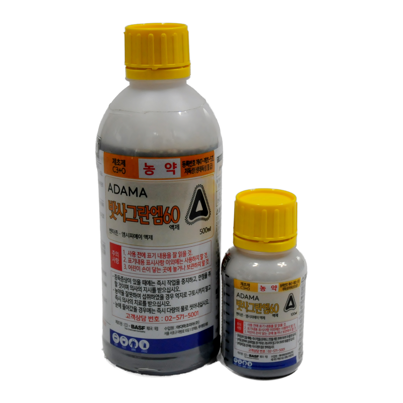 밧사그란엠60