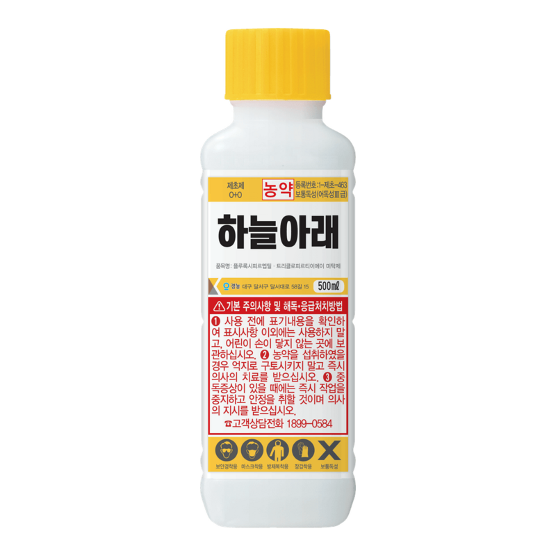하늘아래