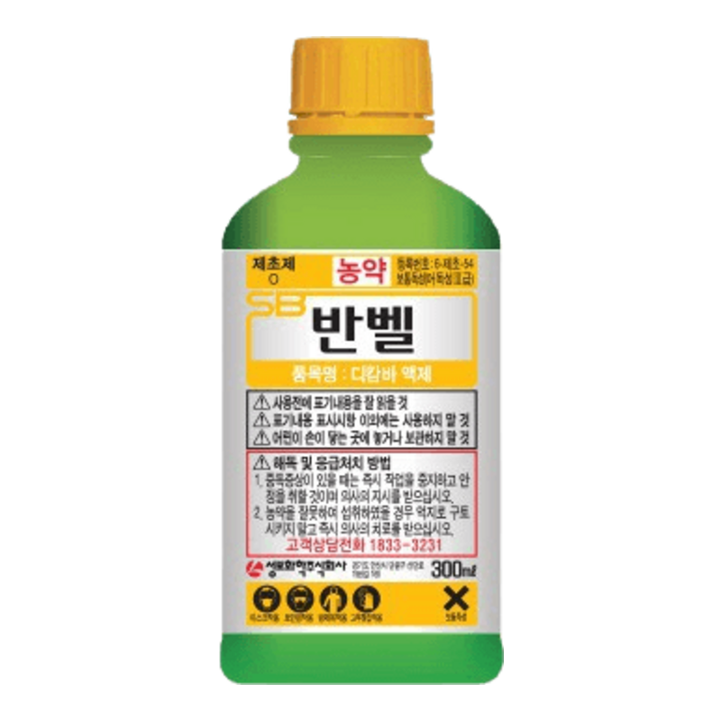 반벨