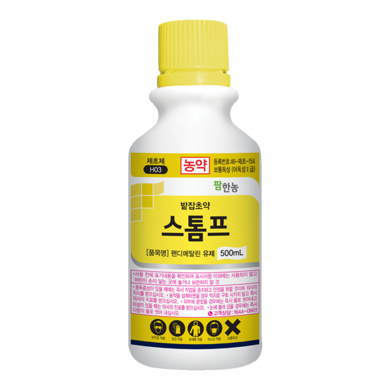 스톰프