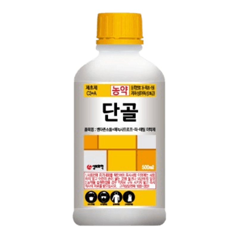 골드킹/단골