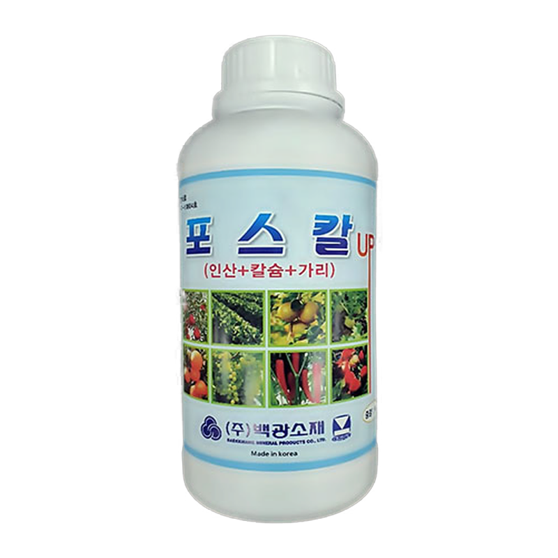 포스칼