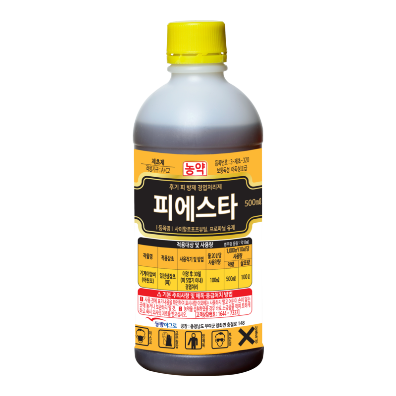 피에스타