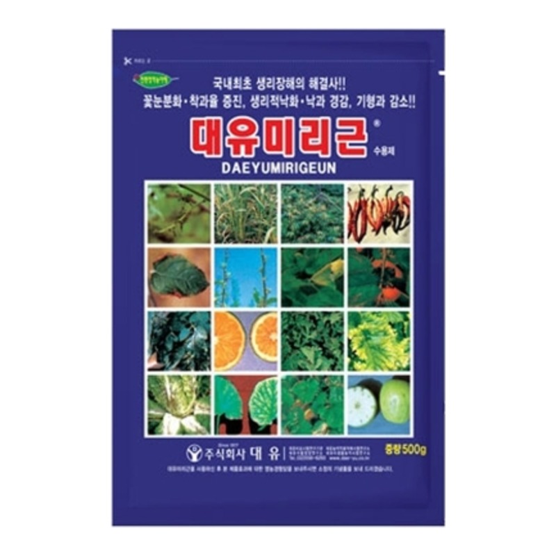 미리근