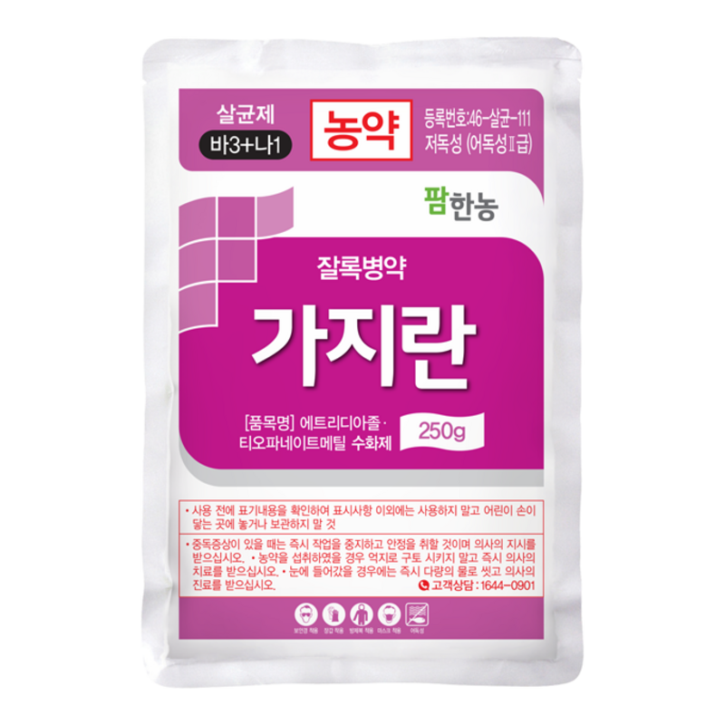 가지란