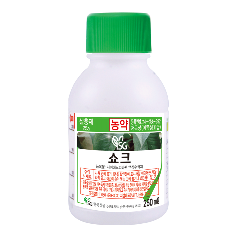 쇼크
