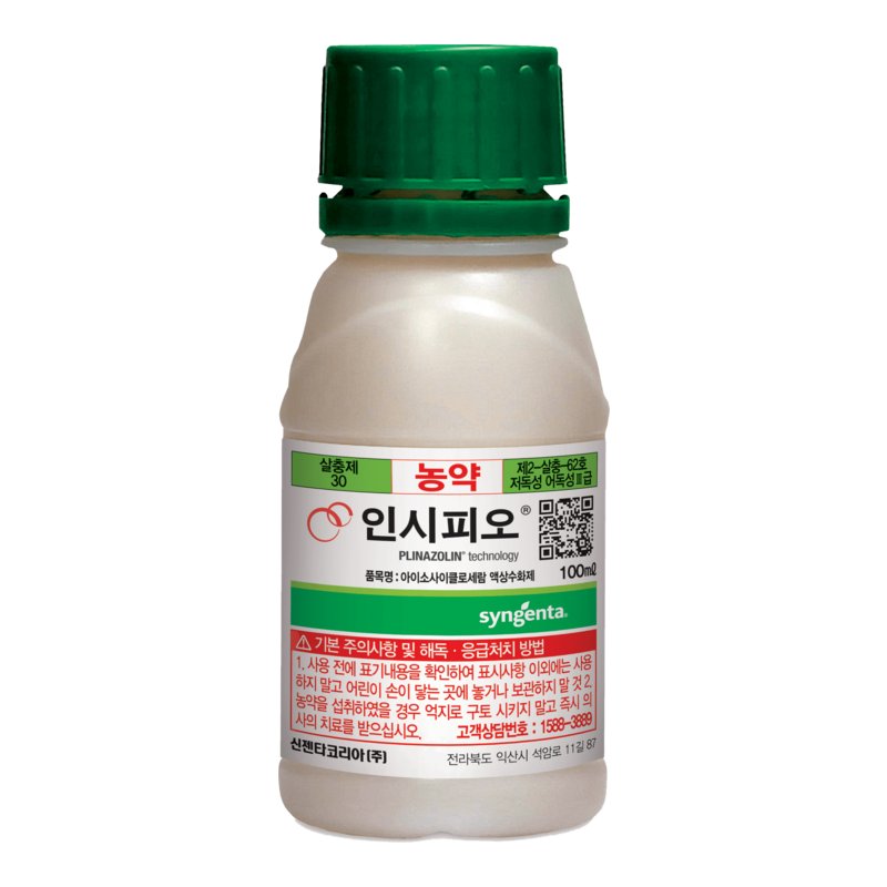 인시피오