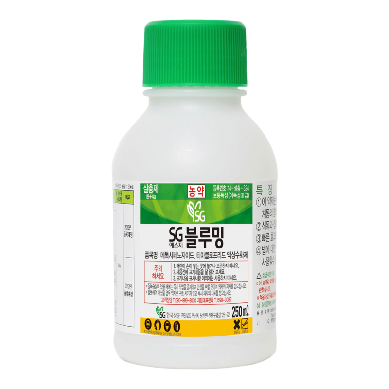 에스지블루밍