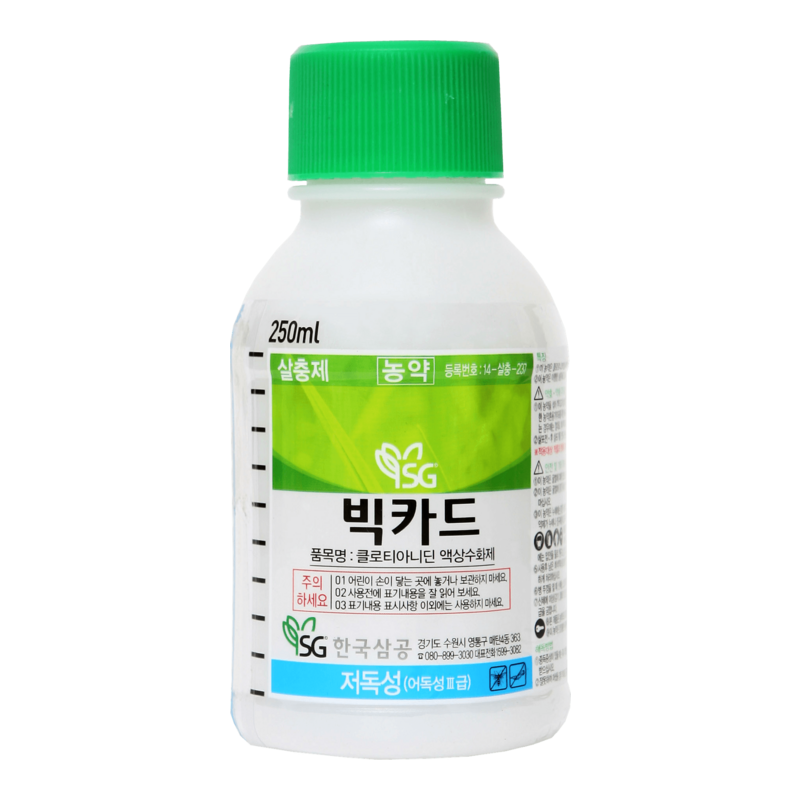 빅카드