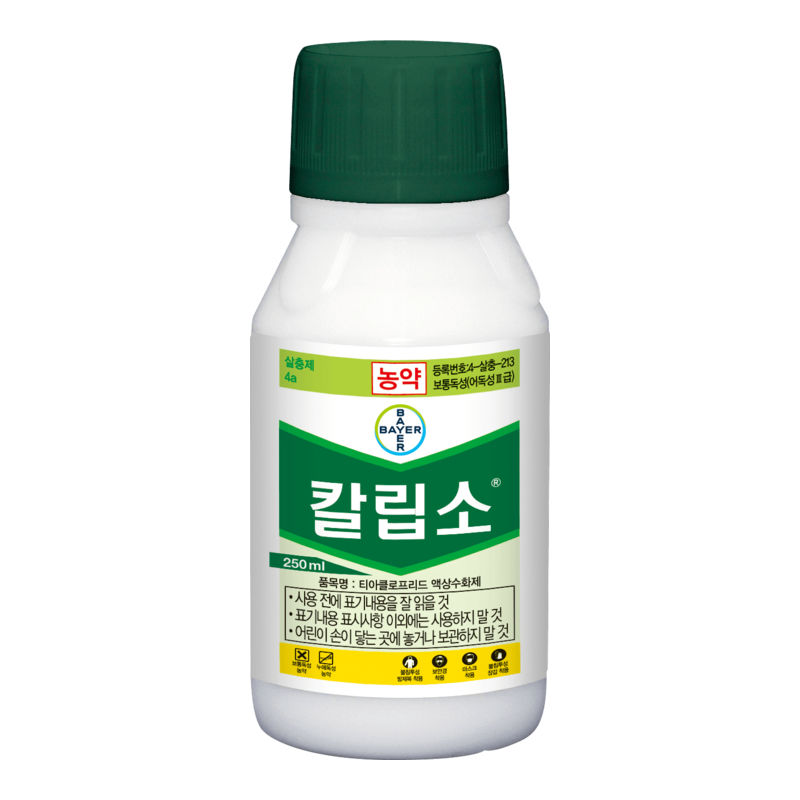 융단폭격/칼립소/어퍼컷